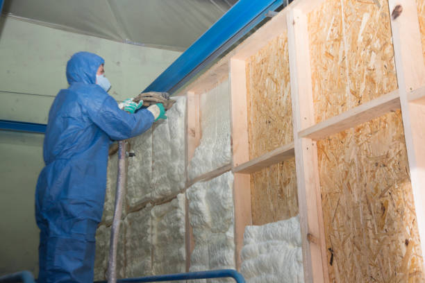 Best Insulation Contractors for Homes  in USA